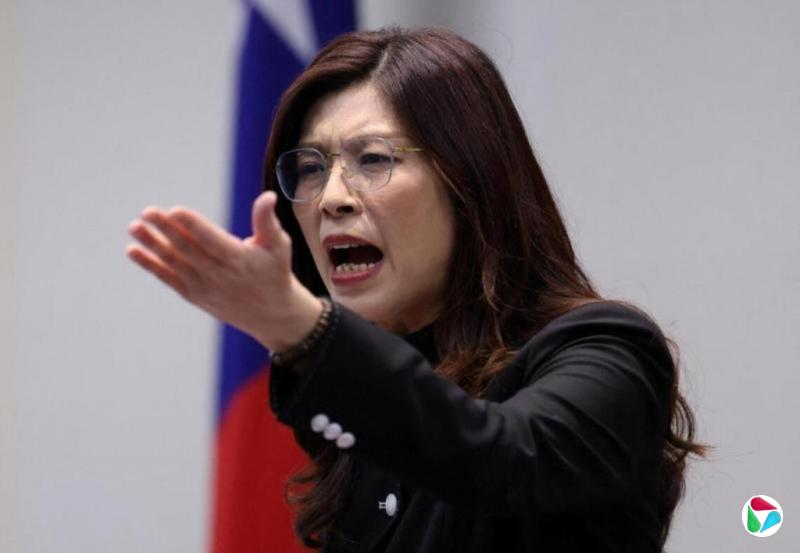 郑丽文访陆申请民主基金会补助 涉统独疑义单据尚未核销