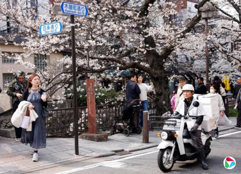 应对外国游客涌入 日本多地已开始或考虑征住宿税