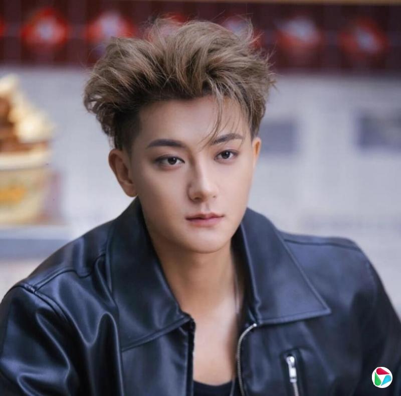中国男艺人黄子韬为违规停车致歉 否认非法改装车辆
