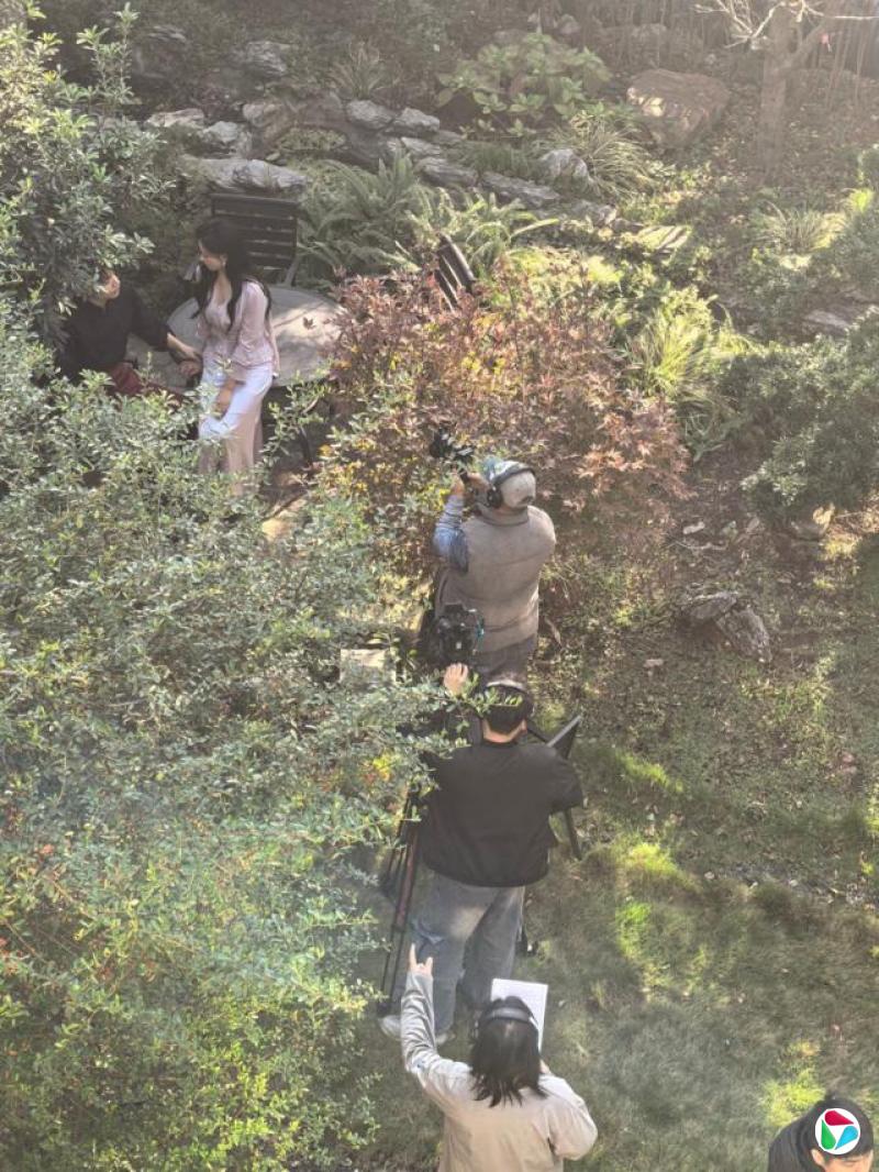 一片树林里,几个人扛着摄像机,一个人带着监听耳机,他们在拍戏。