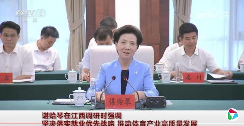 谌贻琴:全力做好高校毕业生农民工等重点群体就业