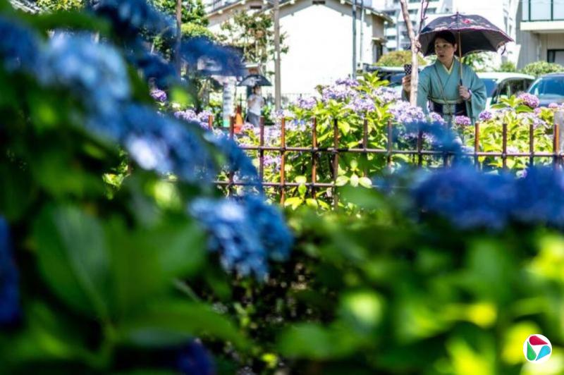 任馥蕤:日本入境签证费暴涨四倍的地缘与经济悖论