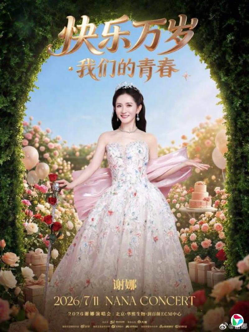 下午察:谢娜成也流量 败也流量