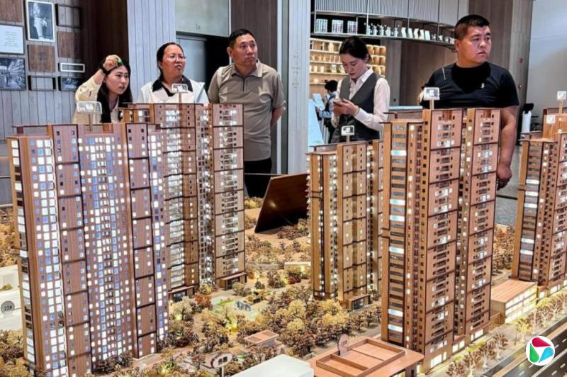刘柳:住进一套法拍房