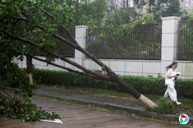 受台风影响 中国多地机场取消航班