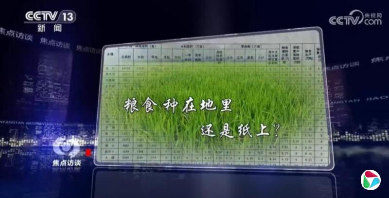 ����죺�������̸���������������������