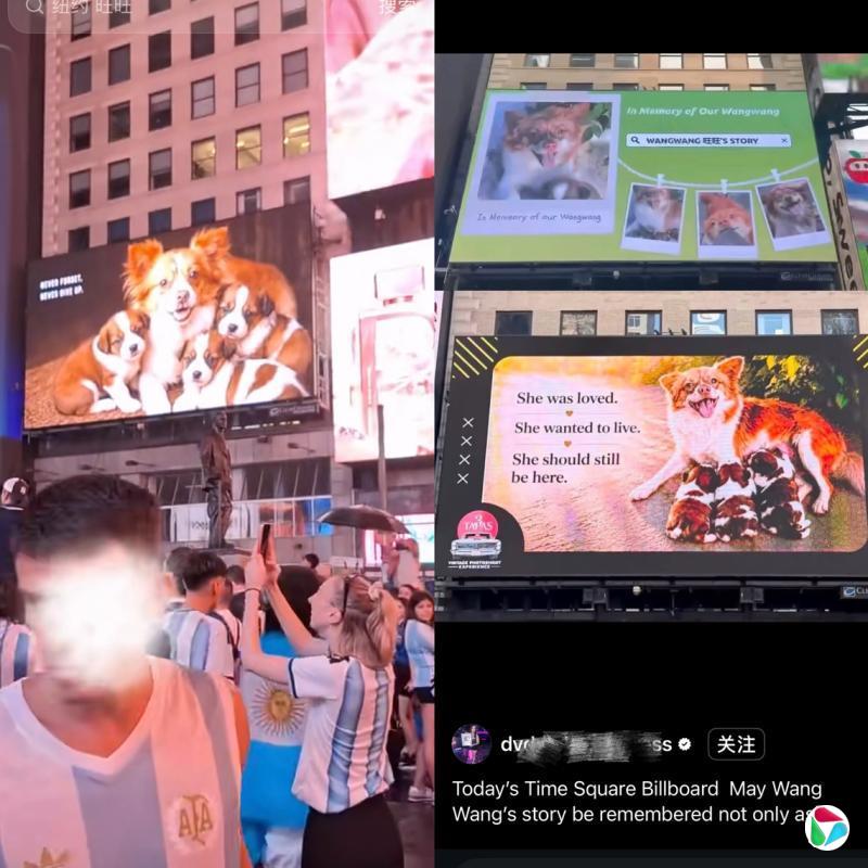 下午察:广东揭阳虐狗事件舆情传到海外