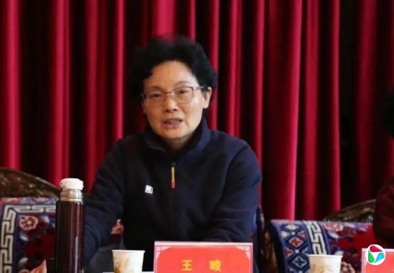 泄露工作秘密 西藏人大常委会原副主任王峻被双开