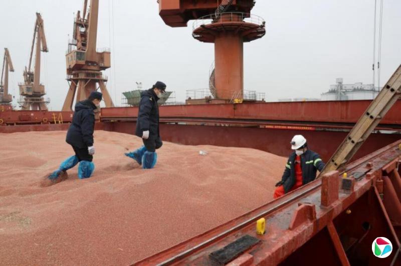 中国继续采购美国大豆 创今年以来最大单笔买单