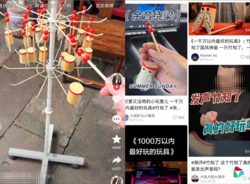 中国公布抹黑车企案例引“竹知了”联想 学者:华为维权符官方原则但存“泛侵权化”