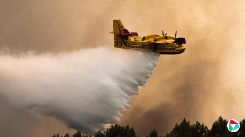 7 月,Canadair 的一架消防飞机在法国吉伦特省地区的火灾中洒水。