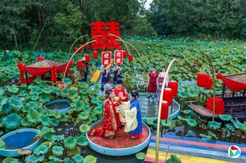 不婚化加剧 中国上半年结婚登记同比下降7.46%