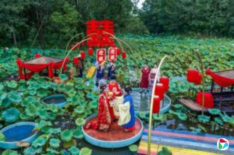 天津设立银行内结婚登记点