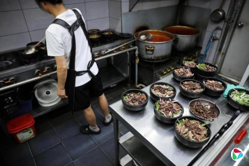 禁令明年生效 韩国人赶在最后一刻合法吃狗肉