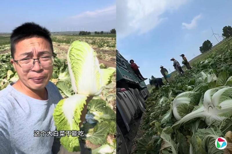 中国官方要求从严从快处置甲醛白菜 多地忧食安问题紧急排查