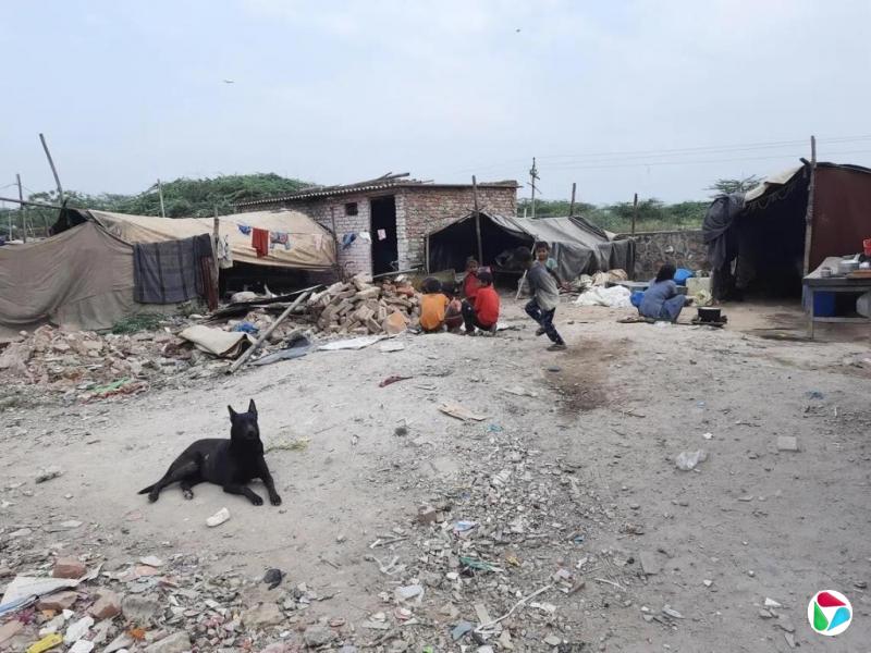 印度抽检发现一批狂犬病疫苗不合格 疑为假冒品