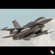 F16Vս�������� ̨�������ɷ���Ա����ѵ��