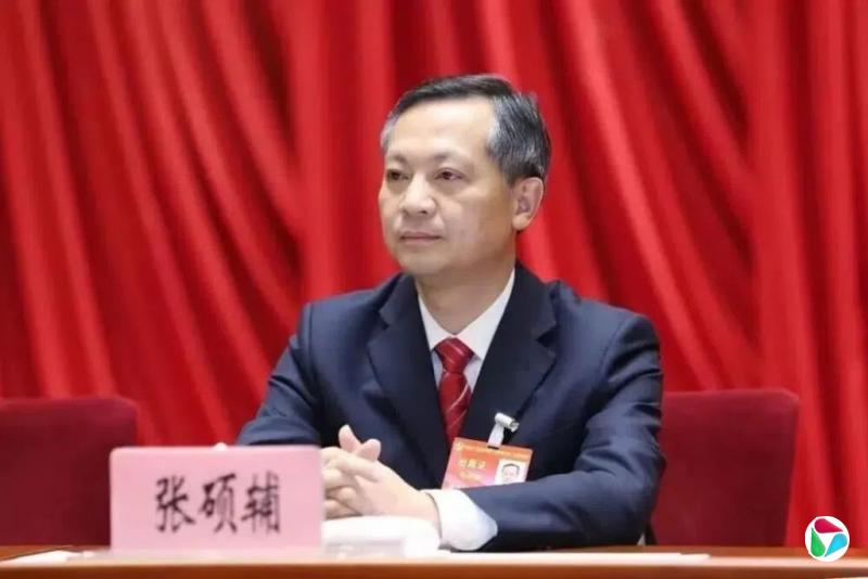 前官员指广州“砍树书记”张硕辅落马牵涉周亮案