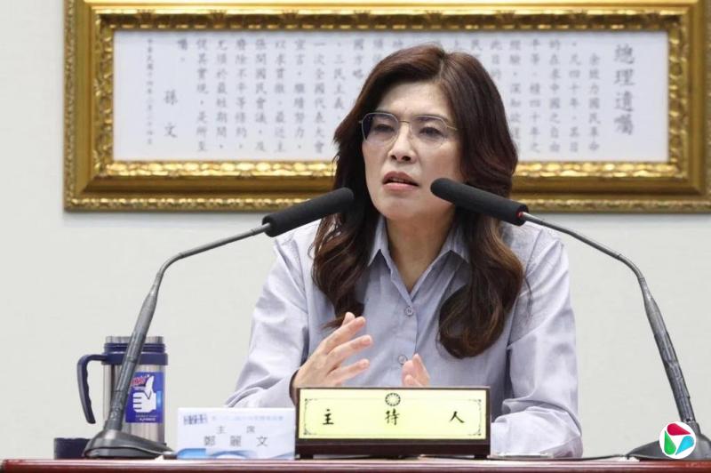 郑丽文日媒专访批民进党高喊台湾主体性 却让台湾失去主导权