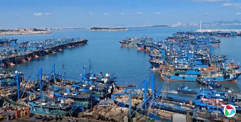 超强台风“蔷琵”逼近中国沿海 浙江全面进入迎战状态
