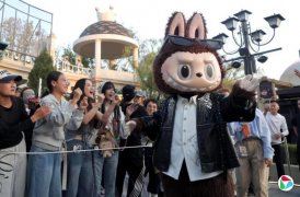 �������ص�����Ӫ�մ�� ���졢�ܸ������Ŀ��ɼ�