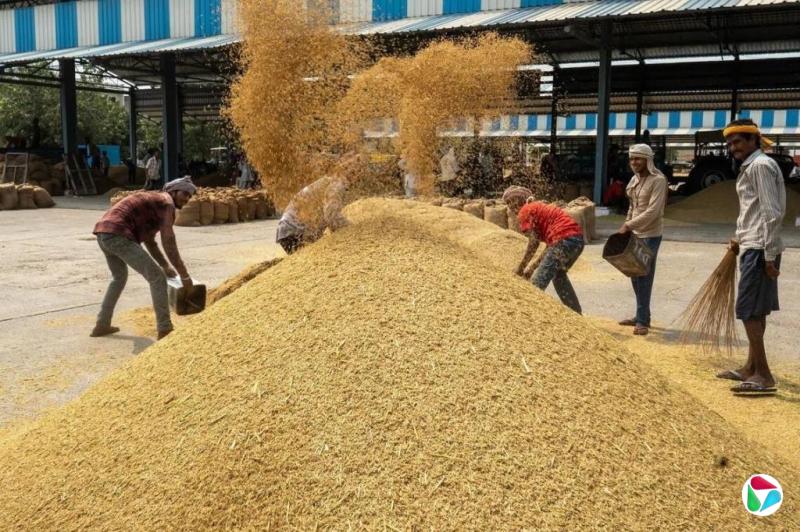大宗商品价格大涨 世行警告粮食不安全加剧